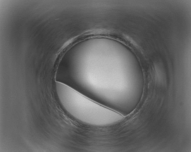 X0000051871213200506241019