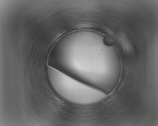 X0000051871217200506241019