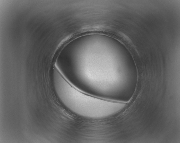 X0000051871218200506241019