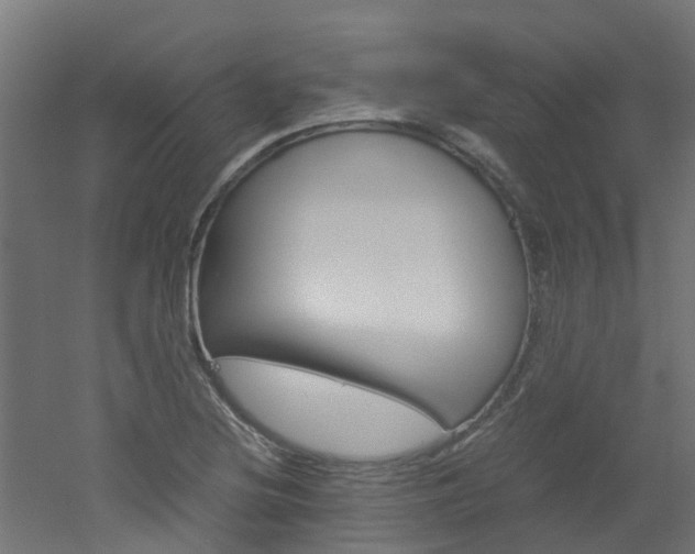 X0000051871220200506241019