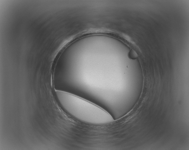 X0000051871221200506241019