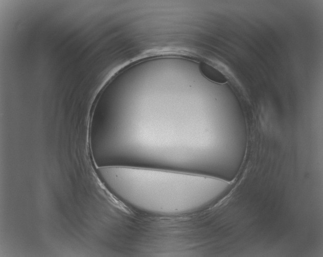 X0000051871228200506241020