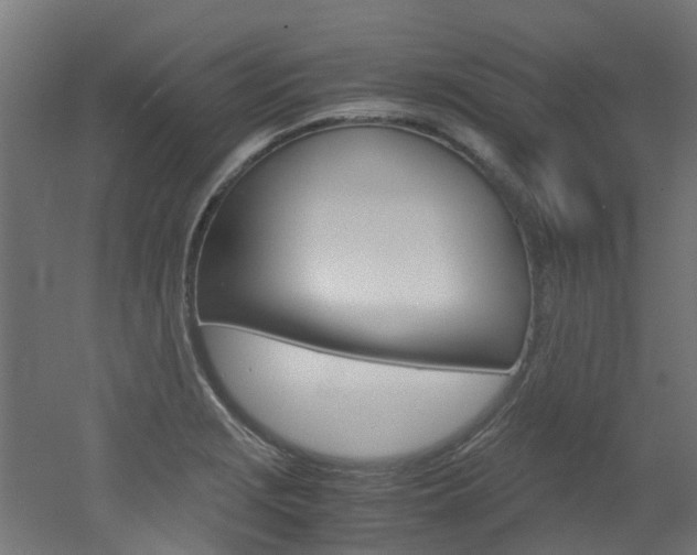 X0000051871229200506241020