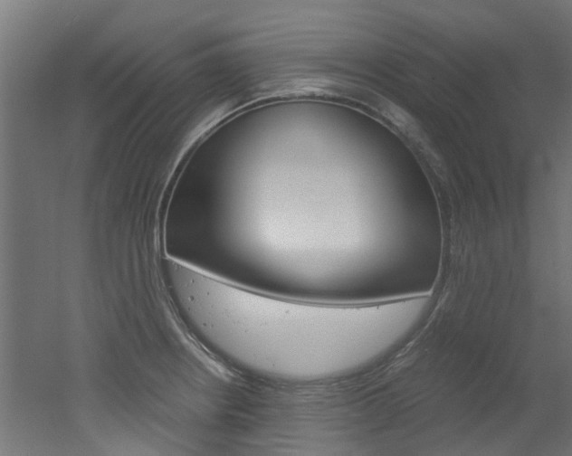 X0000051871234200506241020