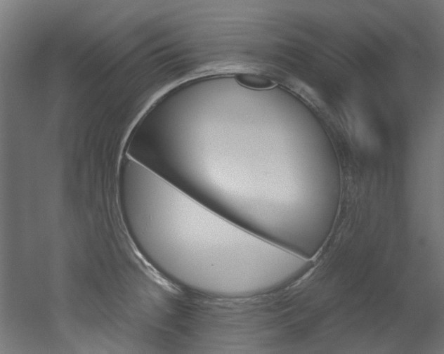 X0000051871236200506241020