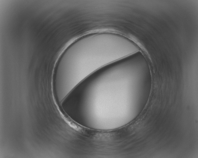 X0000051871237200506241020