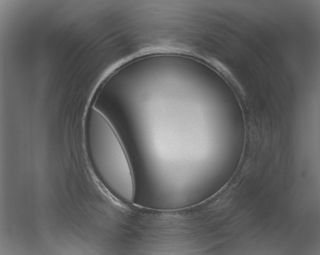 X0000051871238200506241020