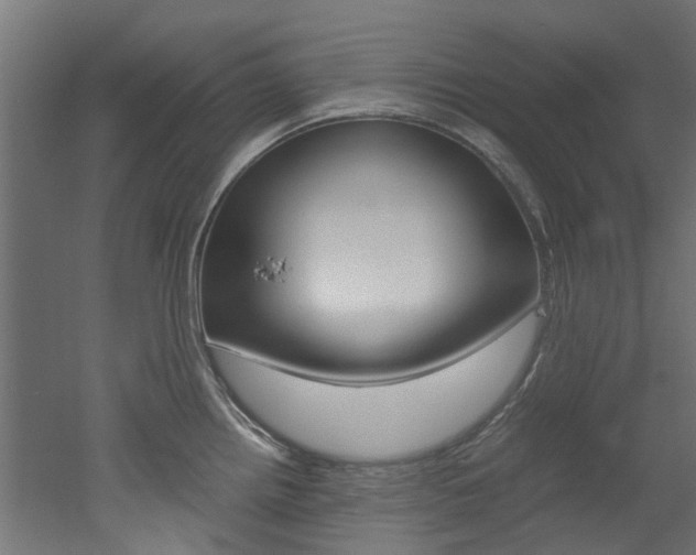 X0000051871242200506241020