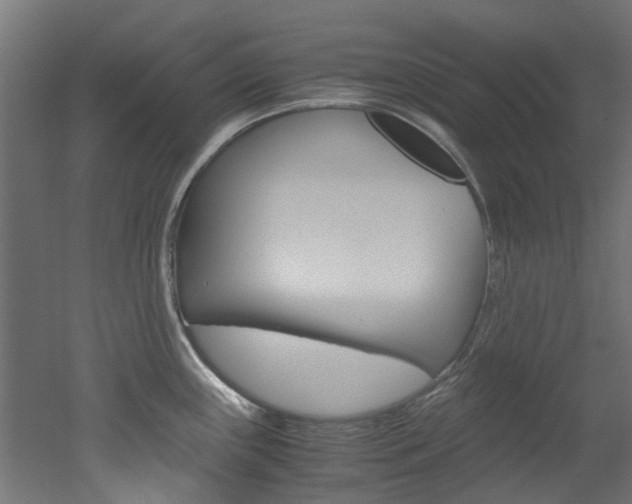X0000051871243200506241020