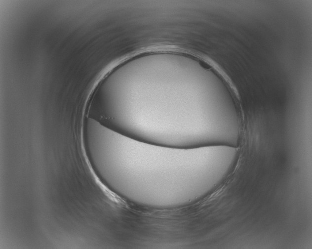 X0000051871245200506241020