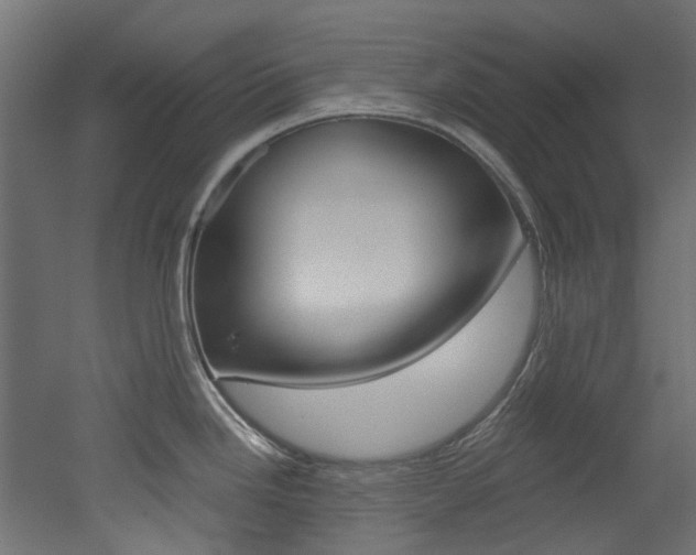 X0000051871246200506241020