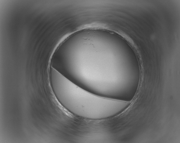 X0000051871248200506241020