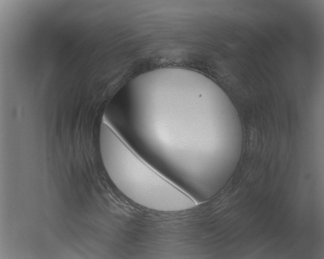 X0000051871250200506241019