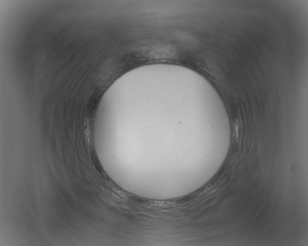 X0000051871251200506241019