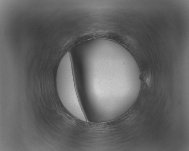 X0000051871252200506241019