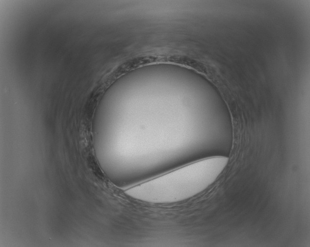 X0000051871253200506241019