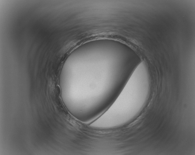X0000051871257200506241019