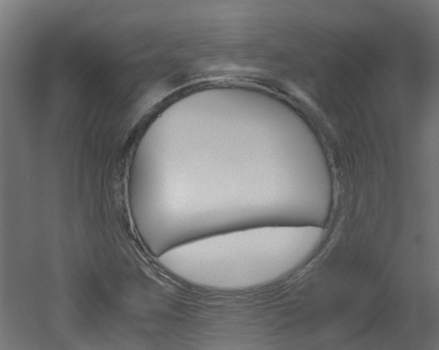 X0000051871259200506241019