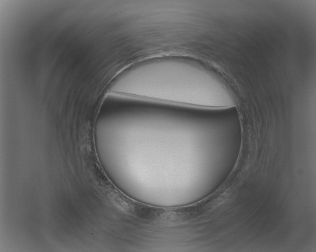 X0000051871265200506241019