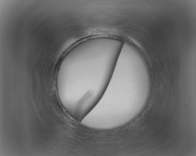 X0000051871267200506241019