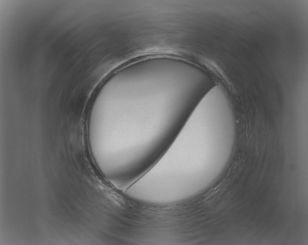 X0000051871268200506241019