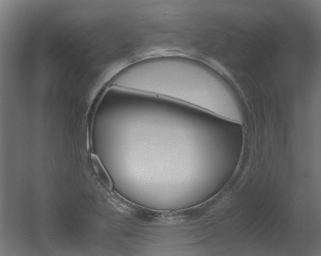 X0000051871269200506241019