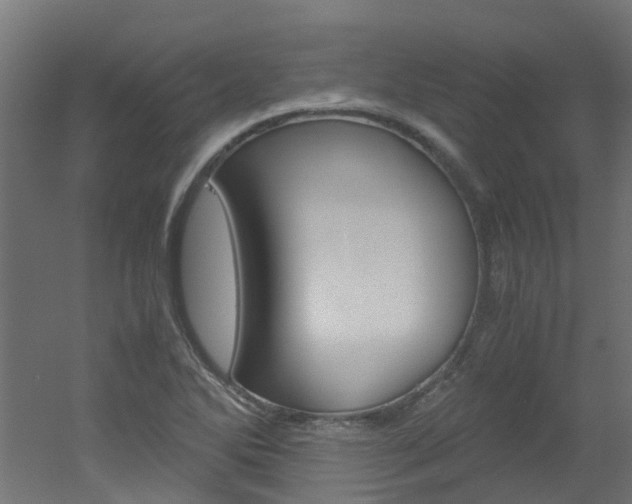 X0000051871270200506241019