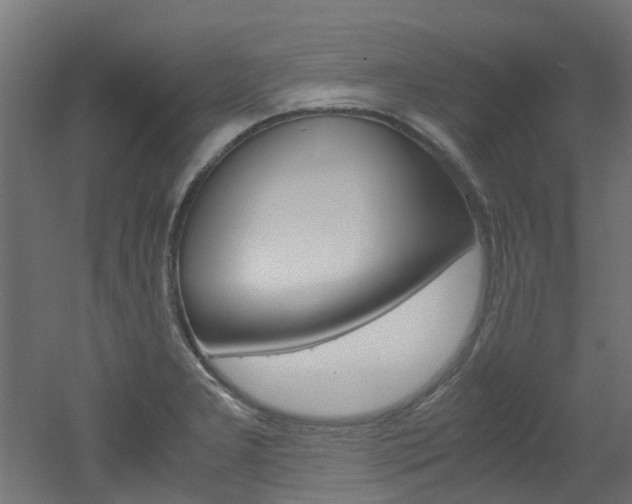 X0000051871277200506241019