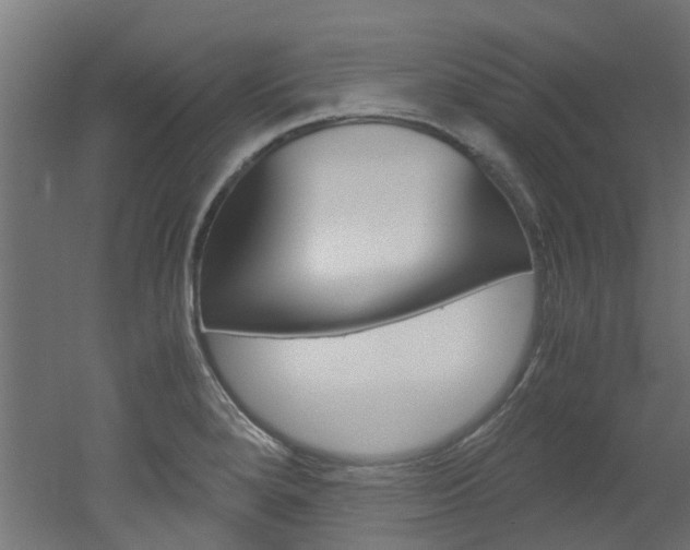X0000051871280200506241019