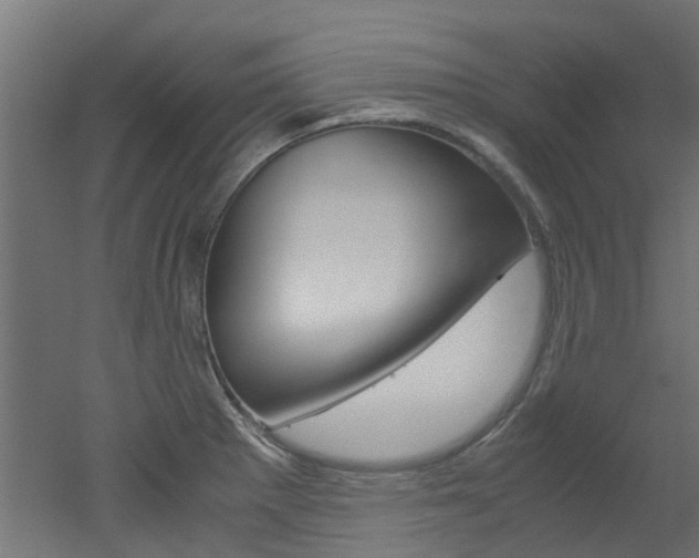 X0000051871281200506241019