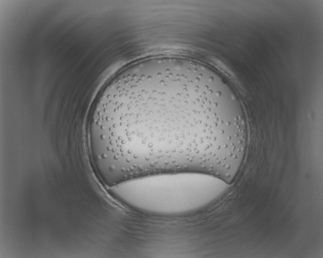 X0000051871283200506241019