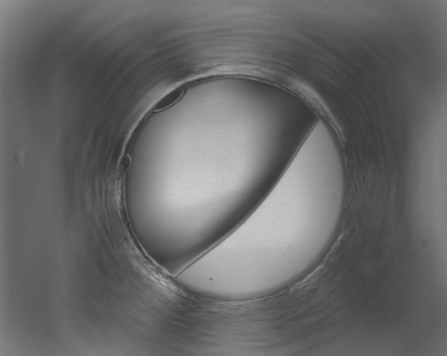 X0000051871284200506241019