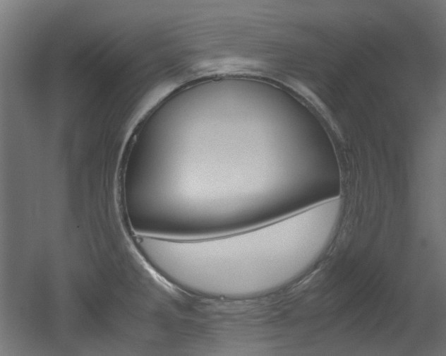 X0000051871285200506241018