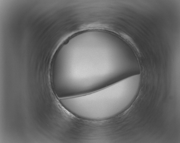 X0000051871288200506241018