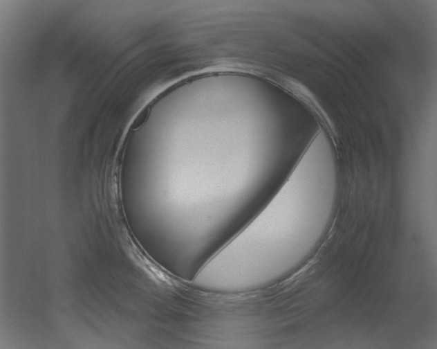 X0000051871292200506241018