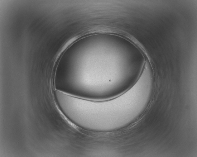 X0000051871293200506241018