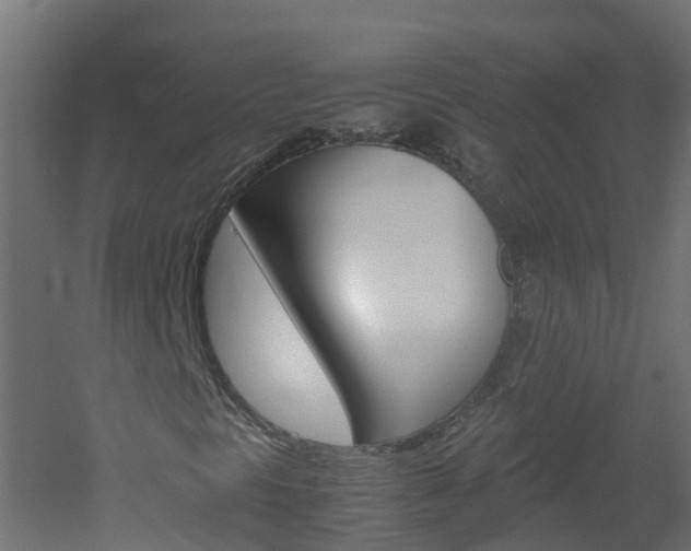 X0000051871297200506241017