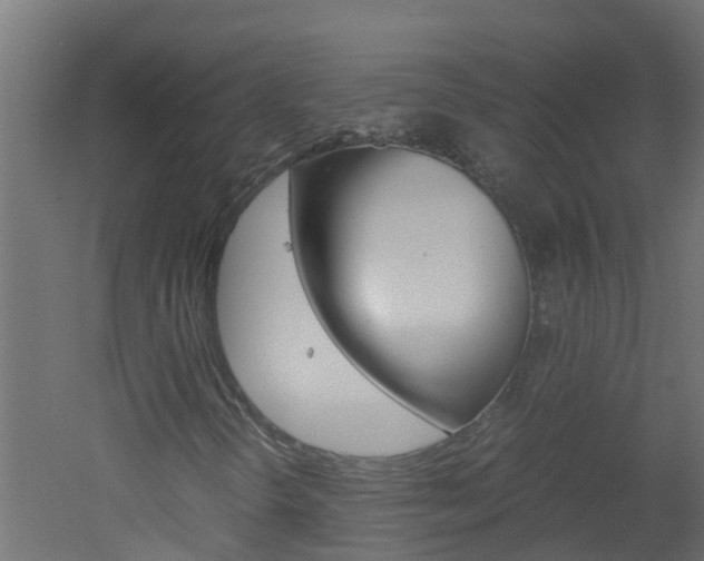 X0000051871298200506241018