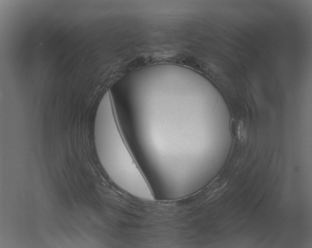 X0000051871299200506241018
