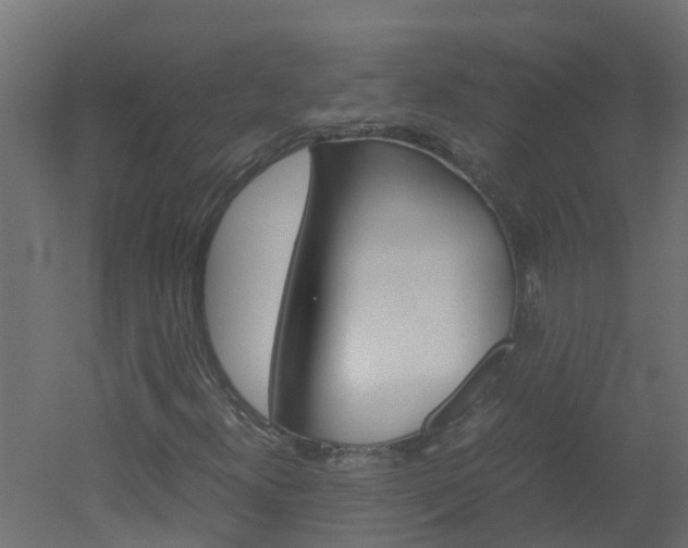 X0000051871300200506241018