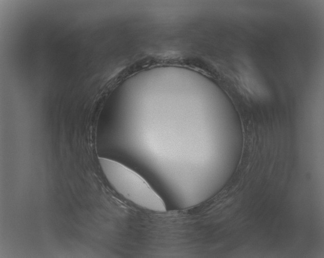 X0000051871301200506241018