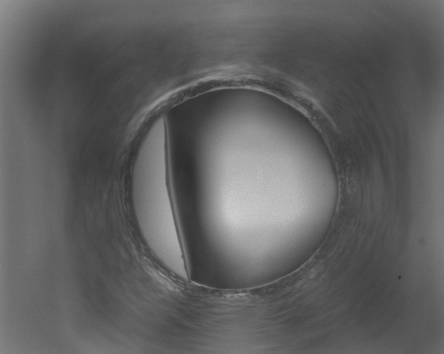 X0000051871304200506241018