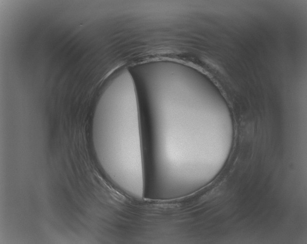 X0000051871305200506241018