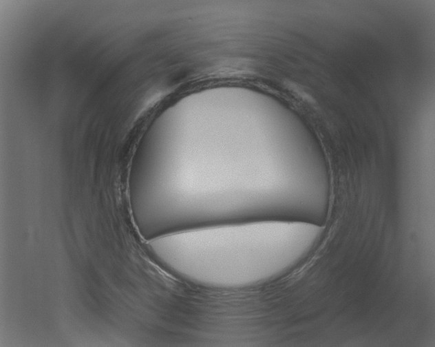 X0000051871306200506241018