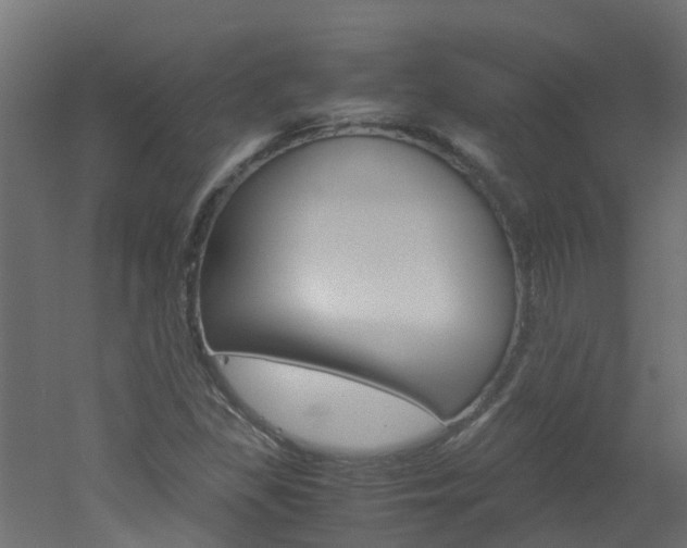 X0000051871309200506241018