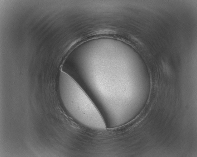 X0000051871313200506241018
