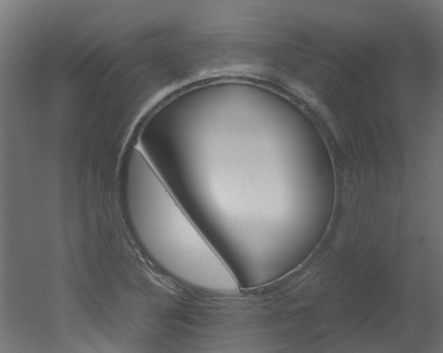 X0000051871316200506241018