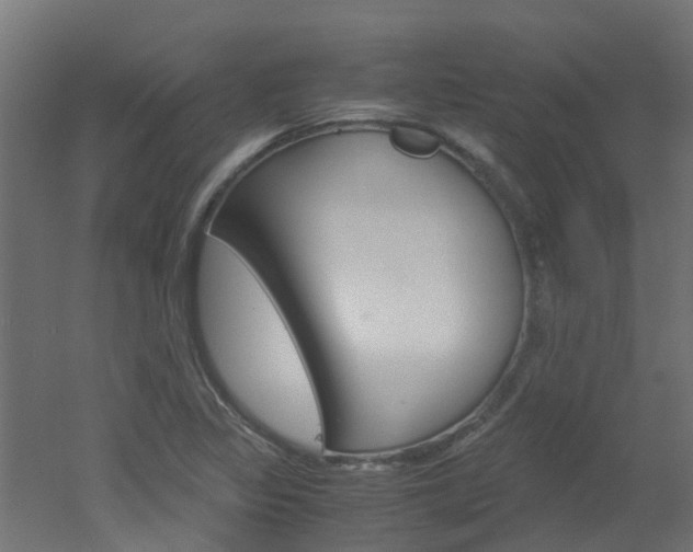 X0000051871317200506241018