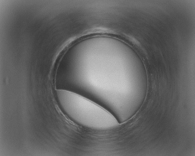 X0000051871318200506241018