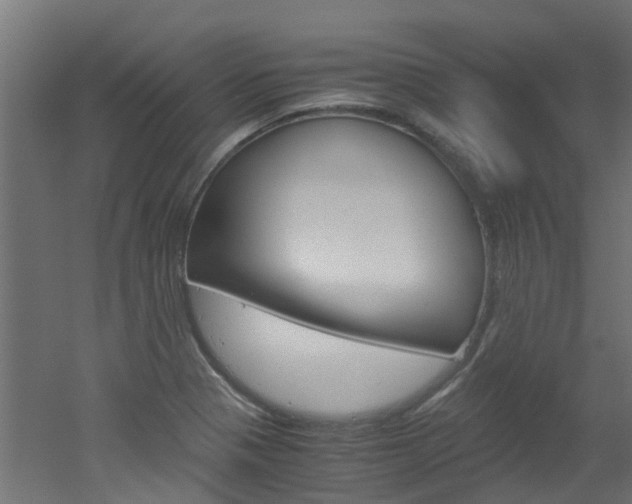 X0000051871321200506241018